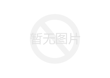 格賓蜜桃视频直播與雷諾護墊的區別 